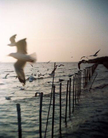 Como dizer não no trabalho sem culpa